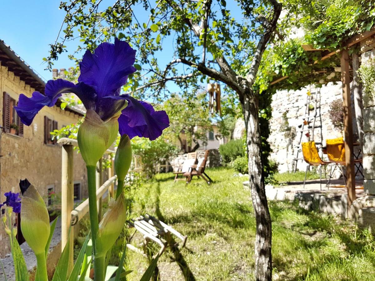 La Rosa Dei Vespucci Historic Apartments Greve in Chianti Esterno foto