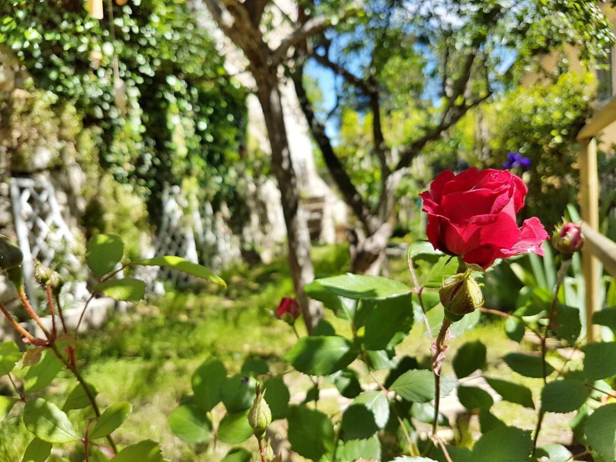 La Rosa Dei Vespucci Historic Apartments Greve in Chianti Esterno foto