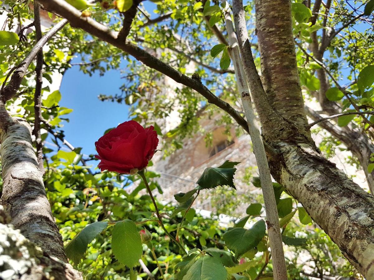 La Rosa Dei Vespucci Historic Apartments Greve in Chianti Esterno foto