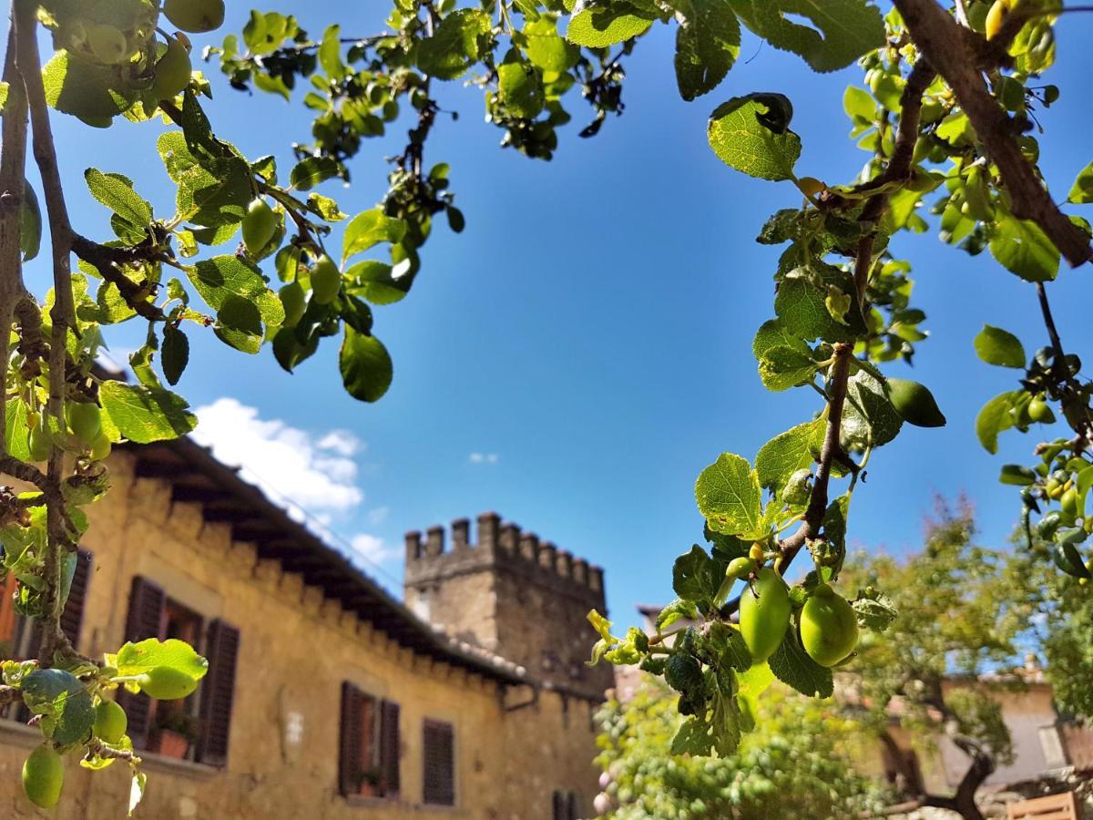 La Rosa Dei Vespucci Historic Apartments Greve in Chianti Esterno foto