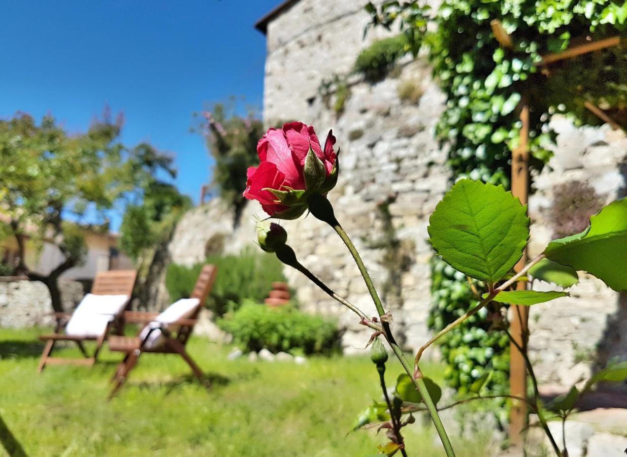 La Rosa Dei Vespucci Historic Apartments Greve in Chianti Esterno foto
